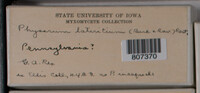 Image Associated With the Occurence